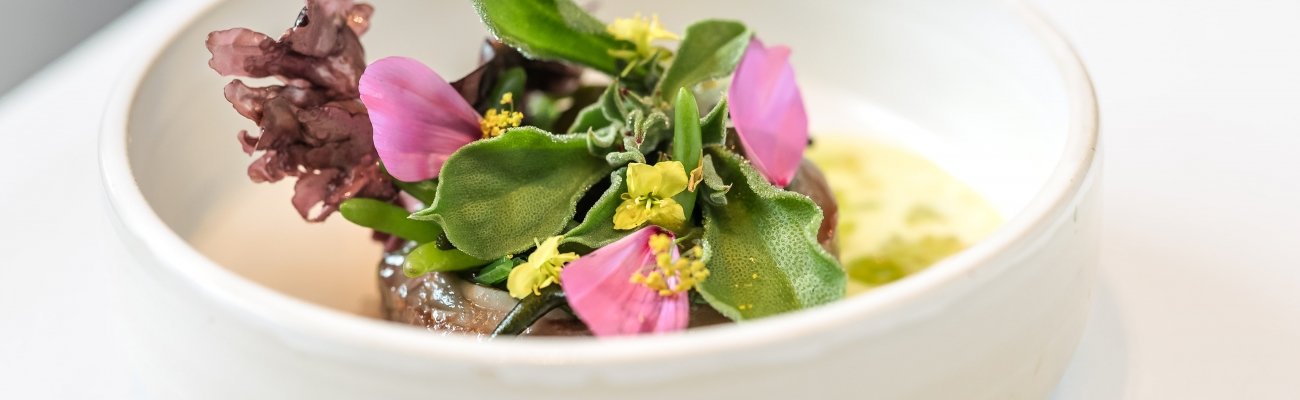 Plantaardig