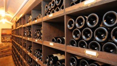 Wine cellar foto